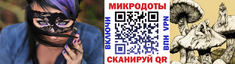 закладки  Верхняя Пышма  Псилоцибиновые грибы мицелий 