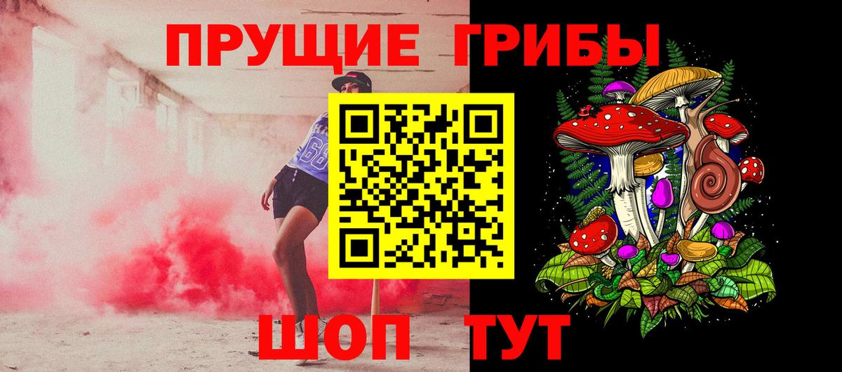 купить наркотики сайты  Псилоцибиновые грибы Cubensis  Вход с VPN  Псилоцибиновые грибы GOLDEN TEACHER  Верхняя Пышма 